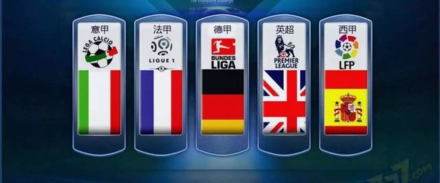 的專業性表 的專業性表